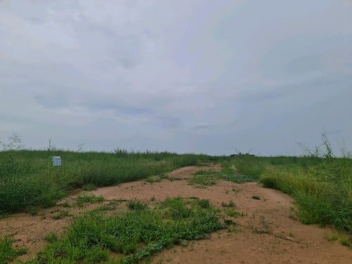ដីឡូតិ៍ក្នុង បុរីចតុមុខ 3