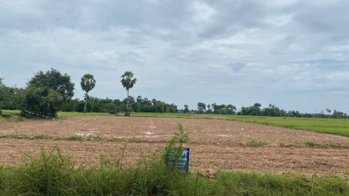 ដីសម្រាប់លក់