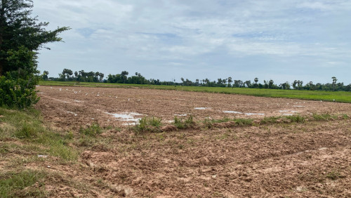 ដីសម្រាប់លក់