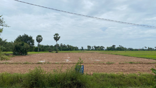 ដីសម្រាប់លក់