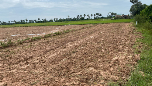 ដីសម្រាប់លក់