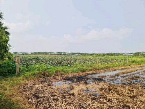 ដីលក់បន្ទាន់តំបន់អភិវឌ្ឍន៍ល្វាឯម