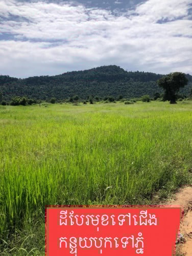 ដីចំការជាប់ជើងភ្នំក្បាលស្ពានលក់ក្រោមទីផ្សារ50%នៅខេត្តសៀមរាប