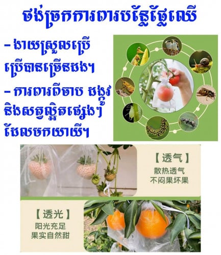 ☘️ថង់ច្រកការពារបន្លែផ្លែឈើ💞