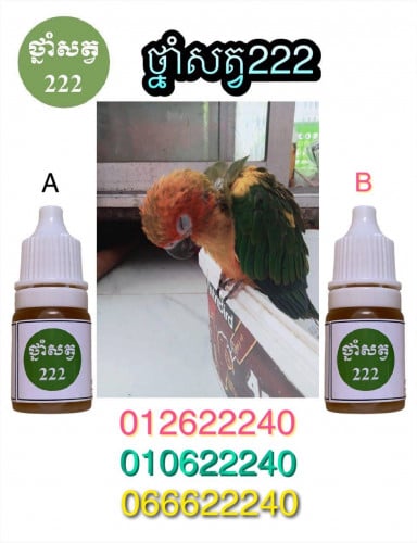 មានថ្នាំព្យាបាលសេកគ្រប់ប្រភេទ (ចូលមើលផេកថ្នាំសត្វ222ព្យាបាលសេក)