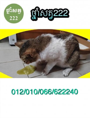 មានថ្នាំសត្វព្យាបាលគ្រប់ប្រភេទ (ចូលមើលផេកថ្នាំសត្វ222ព្យាបាលឆ្កែឆ្មា)