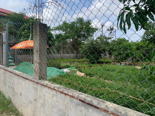 ដីលក់ តាខ្មៅ