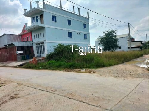 ដីលំនៅដ្នាន អាជីវកម្មជិតផ្សារ ខណ្ទ័ដង្កោ ភព