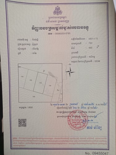 ដីលំហែរប្លង់រឹង  15x30m លក់បន្ទាន់