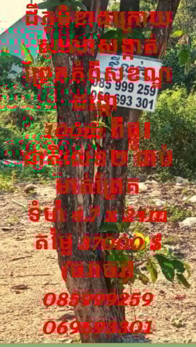 ប្លង់រឹង Hard title