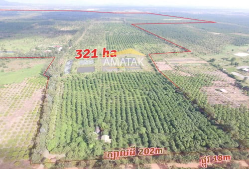 ដីចំការ 321 ហិចតា លក់ $3.5 កំពង់ស្ពឺ