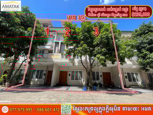 វីឡាកូនកាត់ លក់បន្ទាន់ បុរីប៉េងហួត ដឹស្តារឡៃ 598