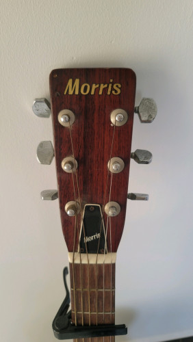 Guitar ឈើ Morris ចរចាបាន