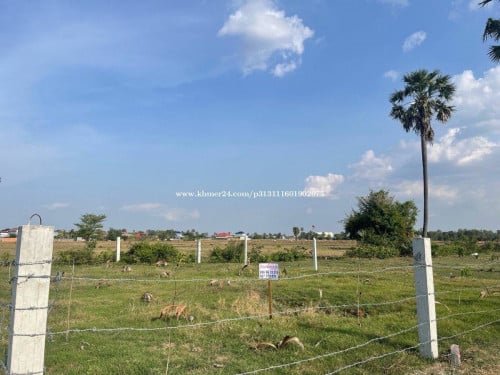 ដីប្លង់រឹងលក់បន្ទាន់តម្លៃឡៃឡុង