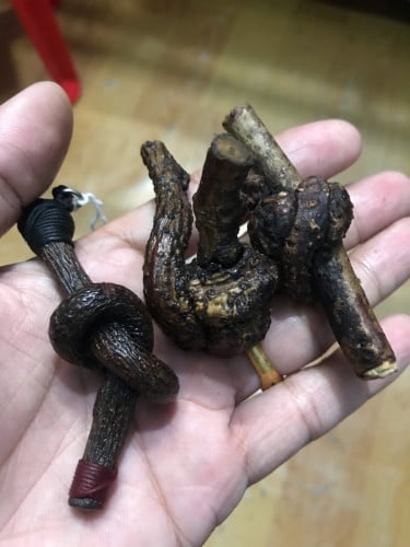 វល្លិ៍​ចងឯង​ ខ្នាតតូច​ ស្នេហ៍​​លក់ដូររកស៊ីពូកែណាស់