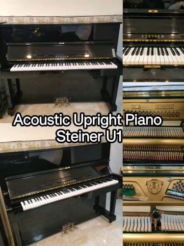 Acoustic Upright Piano Steiner U1