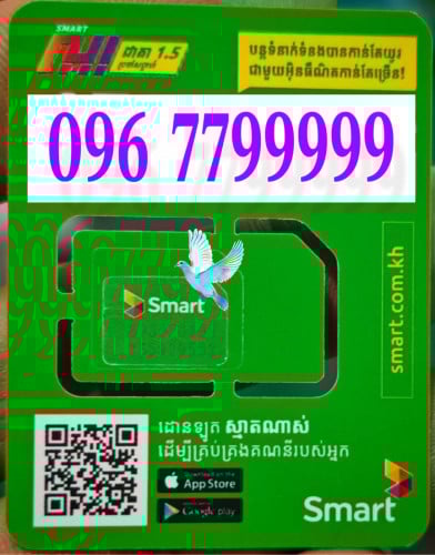 096 7799999