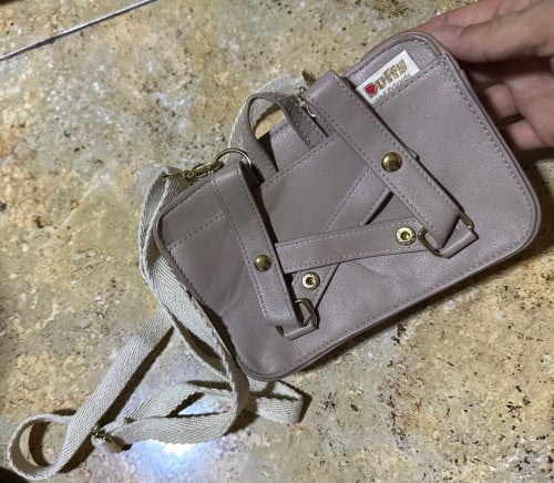 Tokyo Disney Sea Duffy Carry Me Pochette Shoulder Bag Disney Japan