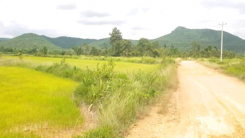 ដីស្រែលក់