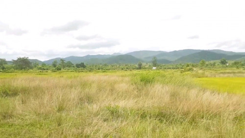 ដីស្រែលក់