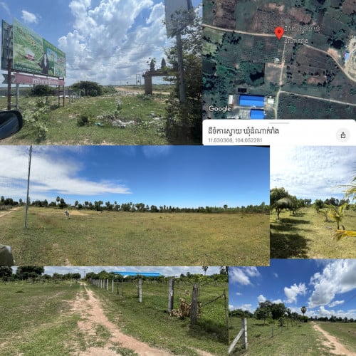 ដីលក់បន្ទាន់ ផ្លូវ៥១ ទំហំជិត៥ហិចតា