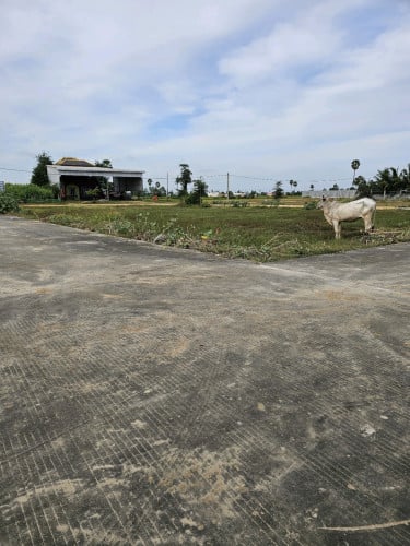 ដីលក់ផ្លូវជាតិលេខ៣ 16.8m×24m