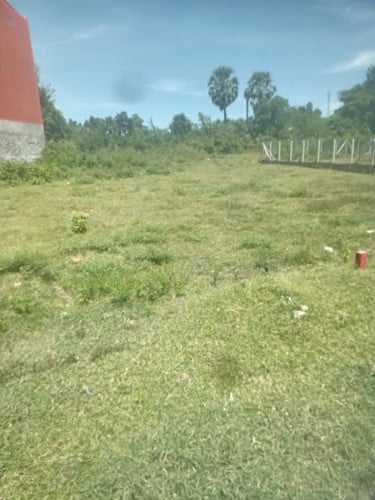 ដីលក់បន្ទាន់ ដីម្ចាស់ដើមផ្ទាល់