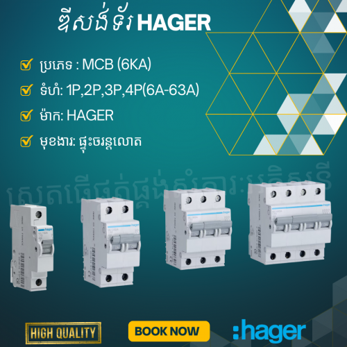 ប្រភេទឌីសង់ទ័រទូទៅ ផលិតផលបារាំង