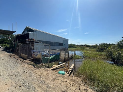 ដីប្លង់រឹង​លក់បន្ទាន់