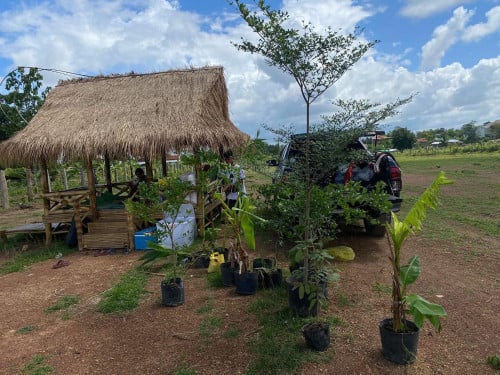 ដីសម្រាប់លក់​ បន្ទាន់