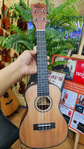 UKULELE 23" Concert Size សំឡេងពីរោះ