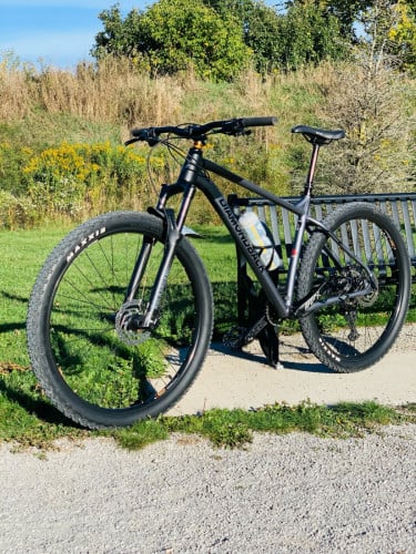 Crimson 29” Hardtail mountain bike diamond back