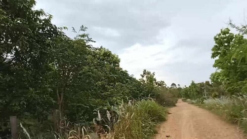 ដីលក់បន្ទាន់