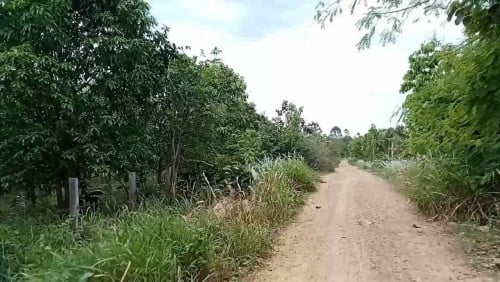 ដីលក់បន្ទាន់