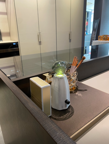 Madame Grace Diffuser Waterless