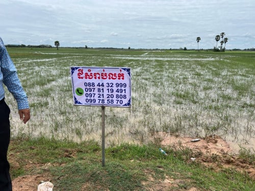 ដី សម្រាប់លក់