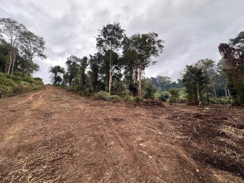 ដី​ចំការលក់​ (ពូលូង)​ មណ្ឌលគិរី​