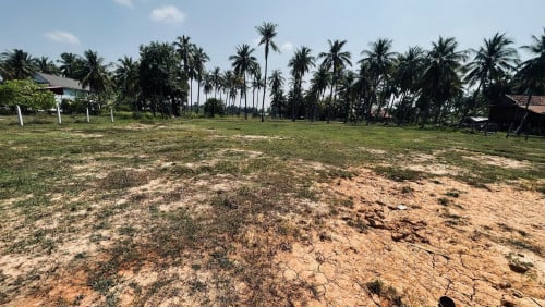 ដីលំនៅឋានលក់ Sale Land