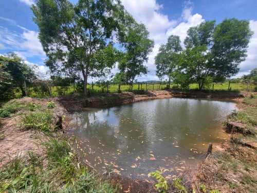 តម្លៃធូរ,ដីលក់ប្រញាប់ខ្លាំង,កំពត-ដង់ទង់