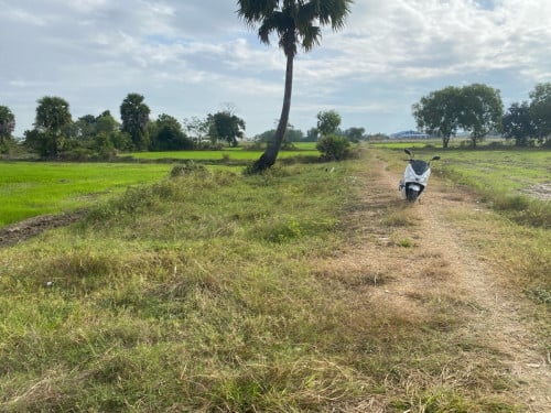 ដីស្រុកបាទី ក្បែរផ្សារសំរ៉ោងយ៉ោង