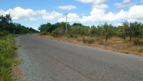 ដីលក់ គីរីរម្យ ត្រែងត្រយឹង