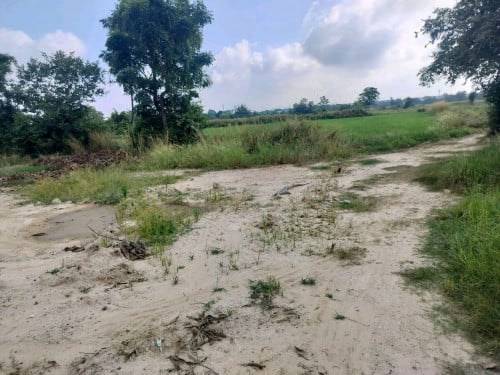 ដីលក់បន្ទាន់(គួរស្រូវ)