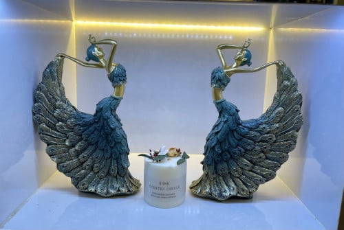 សម្រាប់តាំងនៅក្នុងបន្ទប់និងអូហ្វីសនៅក្នុងផ្ទះស្រស់ស្អាតខ្លាំង