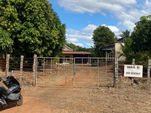 លក់ដី​ ផ្ទះ​ និងដំណាំ​ ទំហំ​ ក្បាល២០​ x​ ជម្រៅ១០០