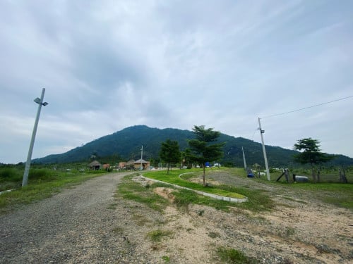 ដីលក់ប្លង់រឹង