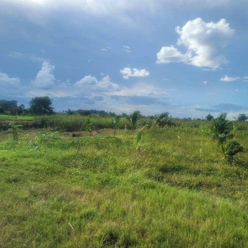 ដីលក់នៅសង្កាត់កោះដាច់ ខណ្ឌជ្រោយចង្វារ