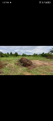 ដីលក់បងៗដីក្រុងខេត្តពោធិ៍សាត់