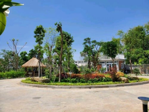 ដីជាប់ ស្ទឹង​ព្រែកត្នោត ដាក់លក់បន្ទាន់