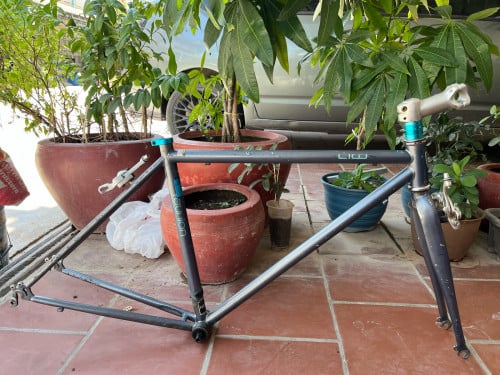 ចង់លក់តួកង់