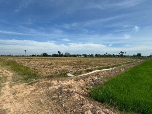 ដី ស្រែ លក់នៅ ជិតវត្ត ត្រគៀត សំរោងយ៉ោង ខេត្ត តាកែវ តំលៃទន់ៗ